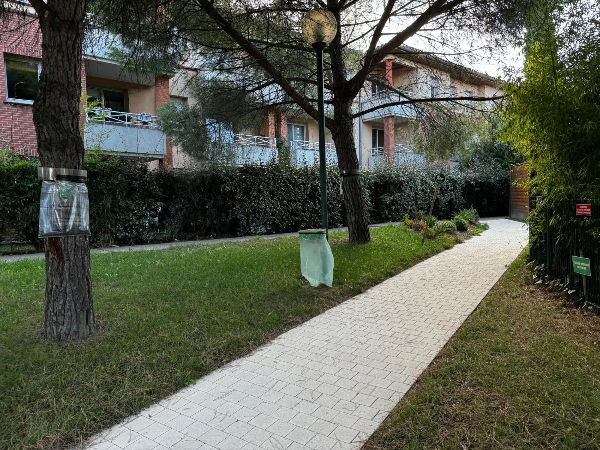 Le Loft Geek Toulouse Exterior foto